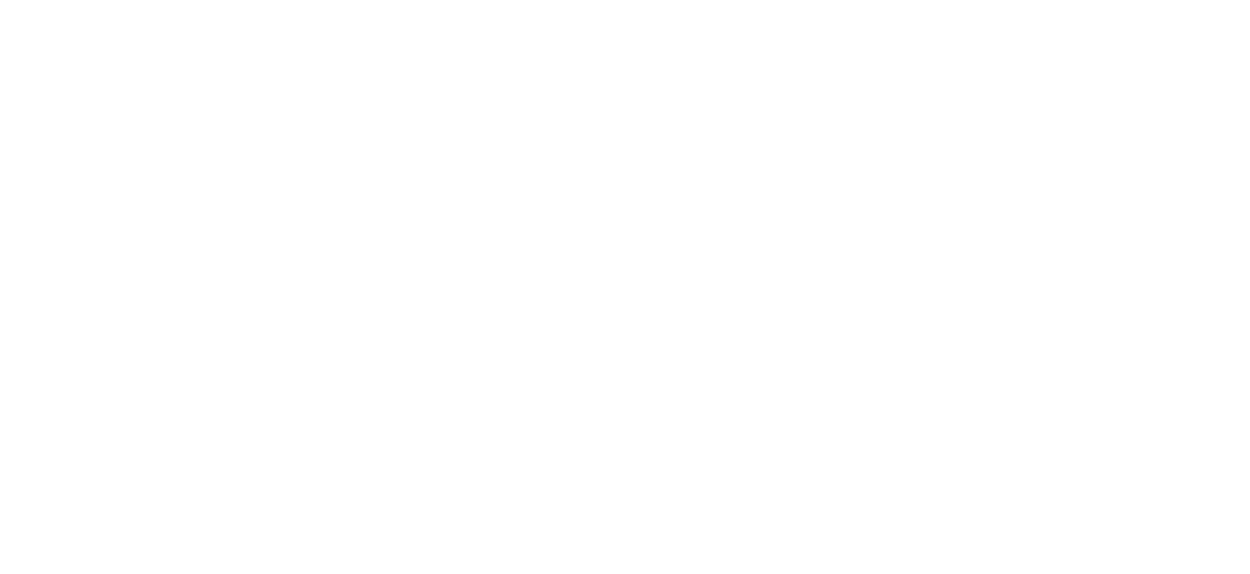 Panda Internet logo
